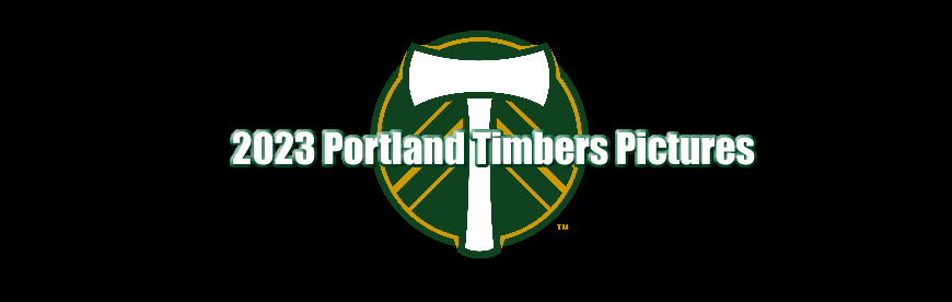 Portland Timbers Fan Page